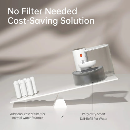 QiBeDa PureFlow – Der filterfreie Katzenbrunnen