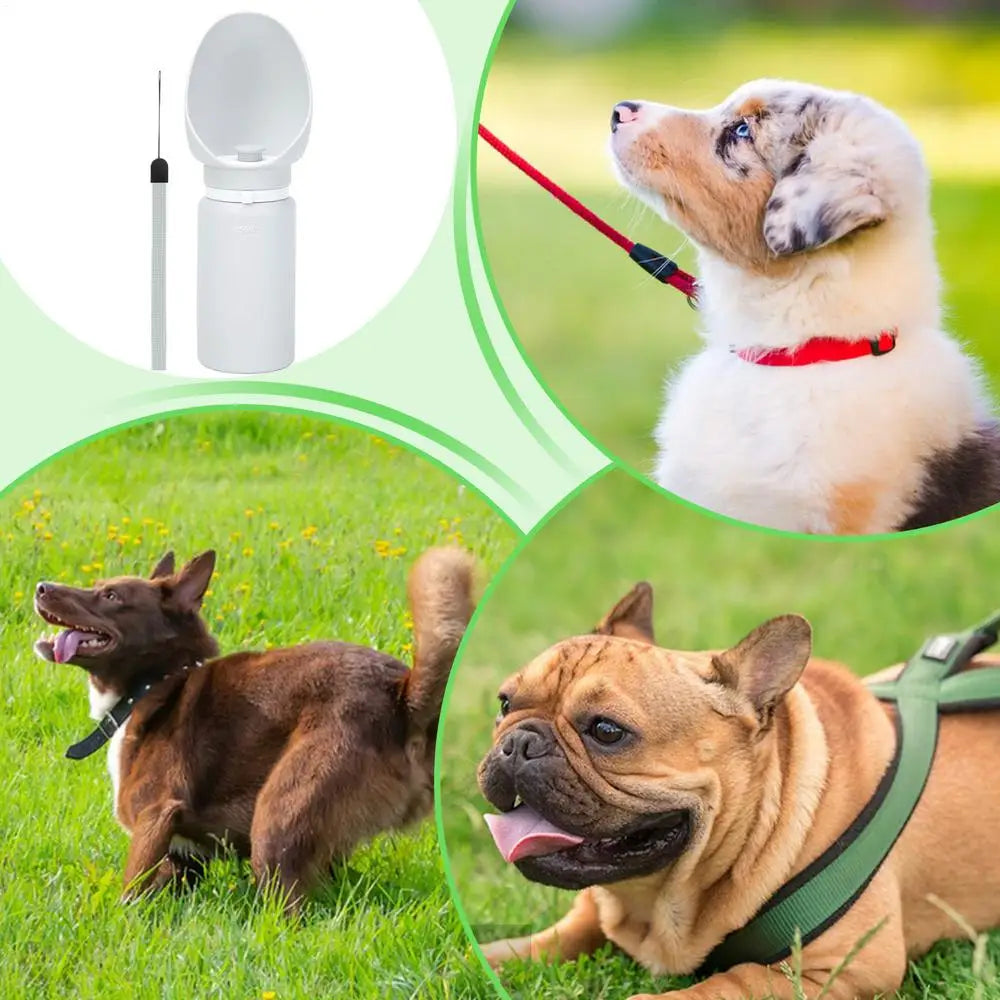 QiBeDa GoBottle Flex – Faltbare Trinkflasche für Hunde