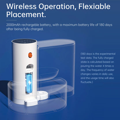 QiBeDa PureFlow – Der filterfreie Katzenbrunnen